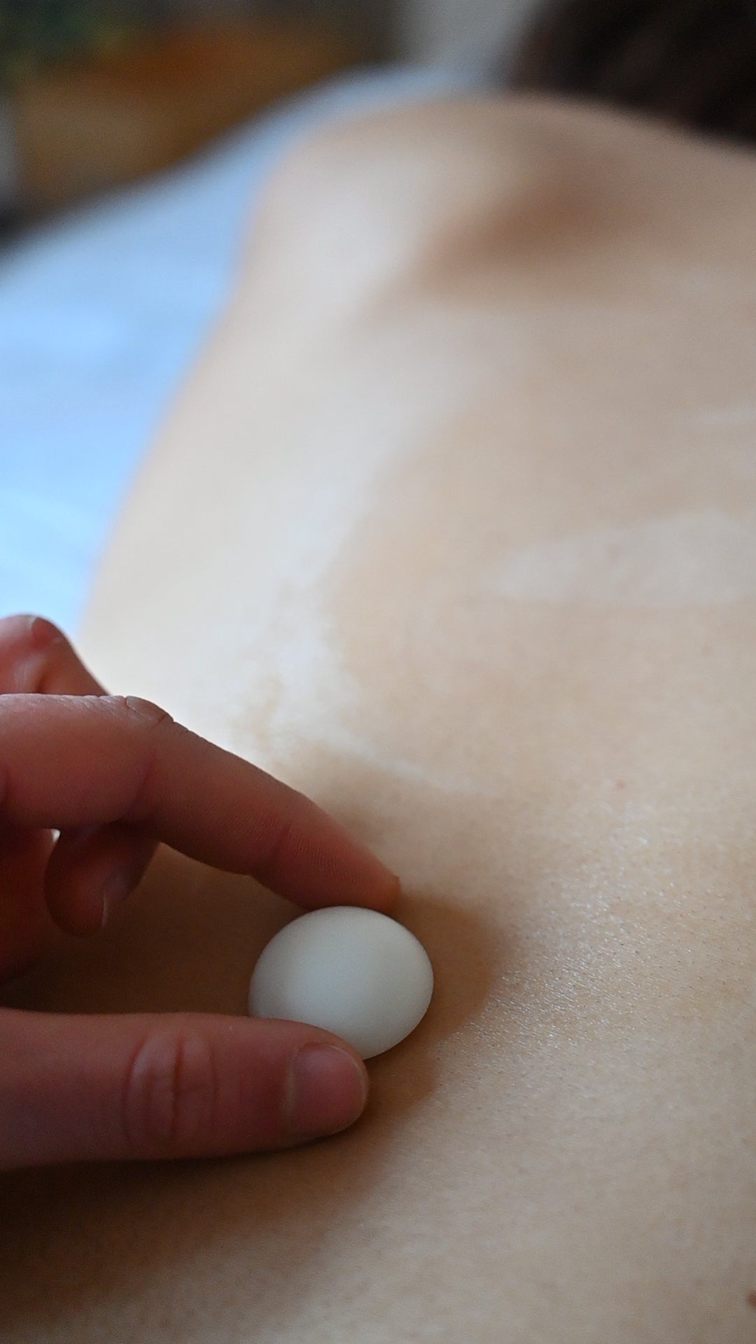 Workshop Atelier Natuur | Sint-Niklaas | 19.03.2026 | 19u